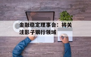 金融稳定理事会：将关注影子银行领域