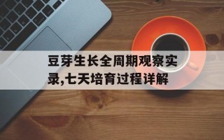 豆芽生长全周期观察实录,七天培育过程详解