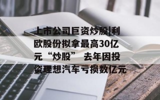 上市公司巨资炒股|利欧股份拟拿最高30亿元“炒股” 去年因投资理想汽车亏损数亿元