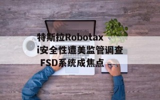 特斯拉Robotaxi安全性遭美监管调查 FSD系统成焦点