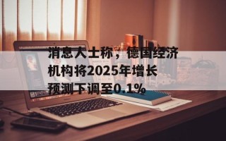 消息人士称，德国经济机构将2025年增长预测下调至0.1%