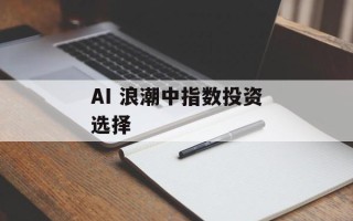 AI 浪潮中指数投资选择