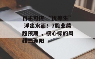 自主可控 “优等生” 浮出水面！7股业绩超预期 ，核心标的周线三连阳