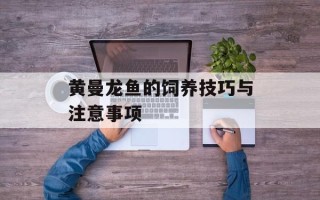 黄曼龙鱼的饲养技巧与注意事项