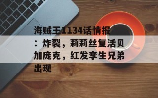 海贼王1134话情报：炸裂，莉莉丝复活贝加庞克，红发孪生兄弟出现