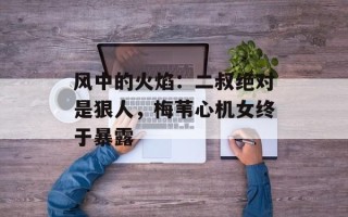 风中的火焰：二叔绝对是狠人，梅苇心机女终于暴露