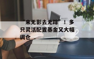 “来无影去无踪”！多只灵活配置基金又大幅调仓