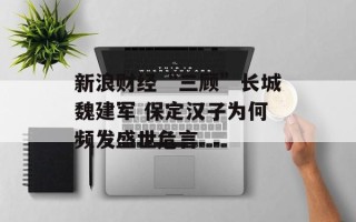 新浪财经“三顾”长城魏建军 保定汉子为何频发盛世危言