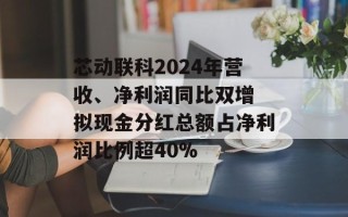 芯动联科2024年营收、净利润同比双增 拟现金分红总额占净利润比例超40%