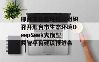 邢台市生态环境局组织召开邢台市生态环境DeepSeek大模型数智平台建设推进会