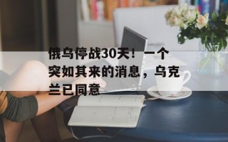 俄乌停战30天！一个突如其来的消息，乌克兰已同意