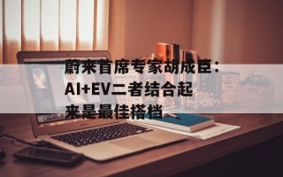 蔚来首席专家胡成臣：AI+EV二者结合起来是最佳搭档