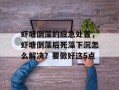虾塘倒藻的应急处置，虾塘倒藻后死藻下沉怎么解决？要做好这5点
