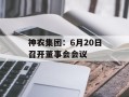 神农集团：6月20日召开董事会会议