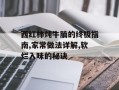 西红柿炖牛腩的终极指南,家常做法详解,软烂入味的秘诀