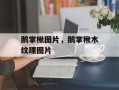 鹅掌楸图片，鹅掌楸木纹理图片