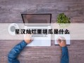 星汉灿烂里胡瓜是什么