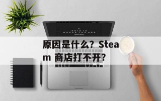 原因是什么？Steam 商店打不开？