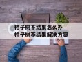 桔子树不结果怎么办 桔子树不结果解决方案