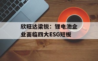 欣旺达梁锐：锂电池企业面临四大ESG短板