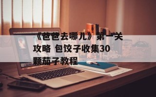 《爸爸去哪儿》第一关攻略 包饺子收集30颗茄子教程