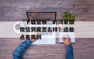 “下载管够”的鸿蒙版微信到底怎么样？这些点有爽到