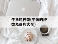 牛角的种类(牛角的种类及图片大全)