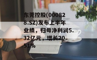 东莞控股(000828.SZ)发布上半年业绩，归母净利润5.32亿元，增长20.51%