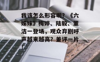我该怎么形容呢？《六姊妹》梅婷、陆毅、董洁一登场，观众弃剧呼声越来越高？差评一片！
