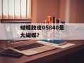 蝴蝶胶皮05840是大蝴蝶？