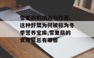 雪里蕻的功效与作用,这种野菜为何被称为冬季营养宝库,雪里蕻的食用禁忌有哪些