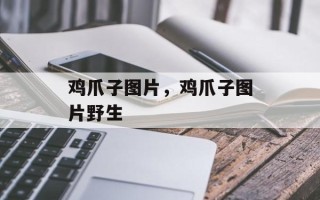 鸡爪子图片，鸡爪子图片野生