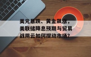 美元暴跌、黄金飙涨，美联储降息预期与贸易战阴云如何搅动市场？