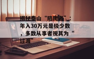 揭秘泰山“陪爬者”：年入30万元是极少数，多数从事者视其为“过渡”