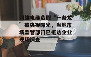润雄电缆造假“一条龙”被央视曝光，当地市场监管部门已抵达企业现场调查