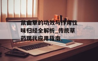 鼠曲草的功效与作用性味归经全解析_传统草药现代应用指南