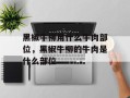 黑椒牛柳用什么牛肉部位，黑椒牛柳的牛肉是什么部位