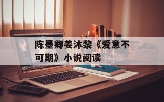 陈墨卿姜沐黎《爱意不可期》小说阅读