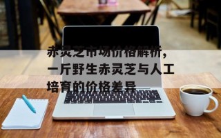 赤灵芝市场价格解析,一斤野生赤灵芝与人工培育的价格差异