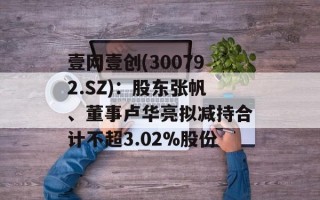 壹网壹创(300792.SZ)：股东张帆、董事卢华亮拟减持合计不超3.02%股份