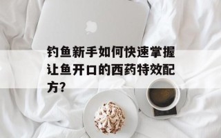 钓鱼新手如何快速掌握让鱼开口的西药特效配方？