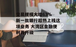 交易规模大增63% 新一批银行趁热上线这项业务 大湾区金融便利再升级