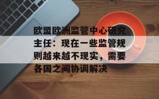 欧盟欧洲监管中心研究主任：现在一些监管规则越来越不现实，需要各国之间协调解决