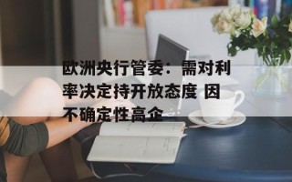 欧洲央行管委：需对利率决定持开放态度 因不确定性高企