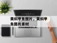 黄焖甲鱼图片，黄焖甲鱼图片素材