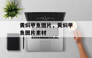 黄焖甲鱼图片，黄焖甲鱼图片素材