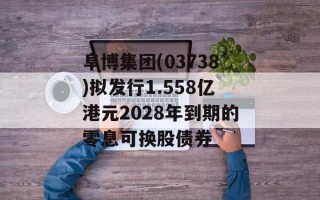 阜博集团(03738)拟发行1.558亿港元2028年到期的零息可换股债券