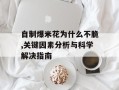 自制爆米花为什么不脆,关键因素分析与科学解决指南