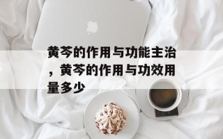 黄芩的作用与功能主治，黄芩的作用与功效用量多少