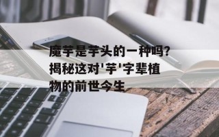 魔芋是芋头的一种吗？揭秘这对'芋'字辈植物的前世今生